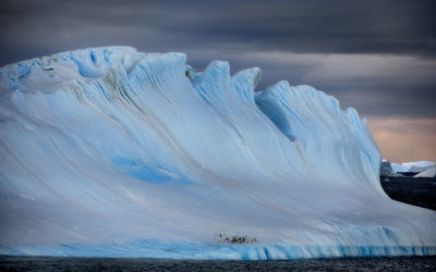 Antarctic Art