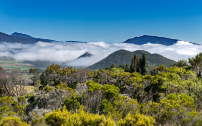 Réunion